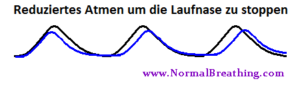 wie man die laufende Nase stoppt