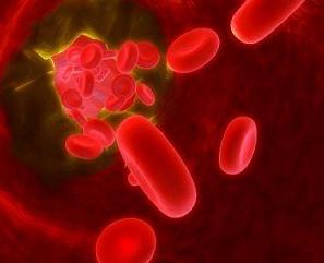 Blutgefäß mit Blutkörperchen
