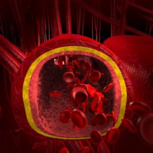 Blutgefäß mit roten Blutkörperchen