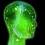 brain-epilepsy-seizures