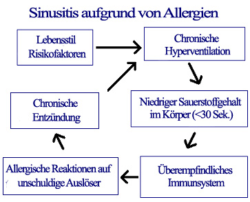 Sinusitis-Allergie-Ursache