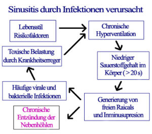 Sinusitis-Mechanismus